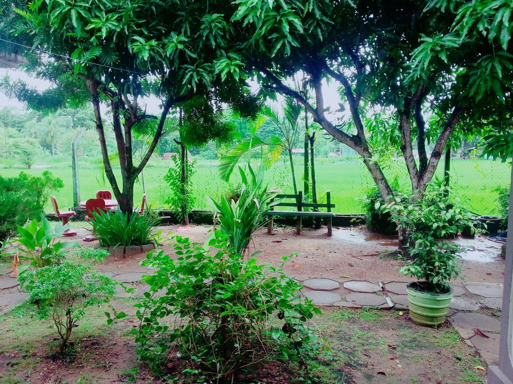 Hansika Guest Inn Buttala Luaran gambar