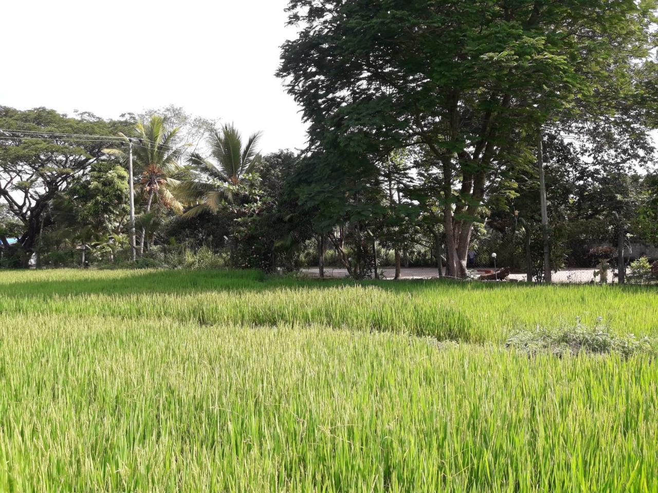 Hansika Guest Inn Buttala Luaran gambar