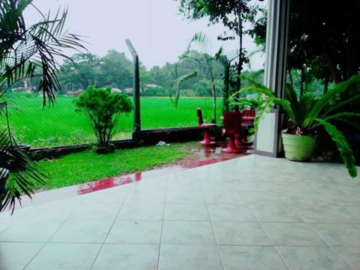 Hansika Guest Inn Buttala Luaran gambar